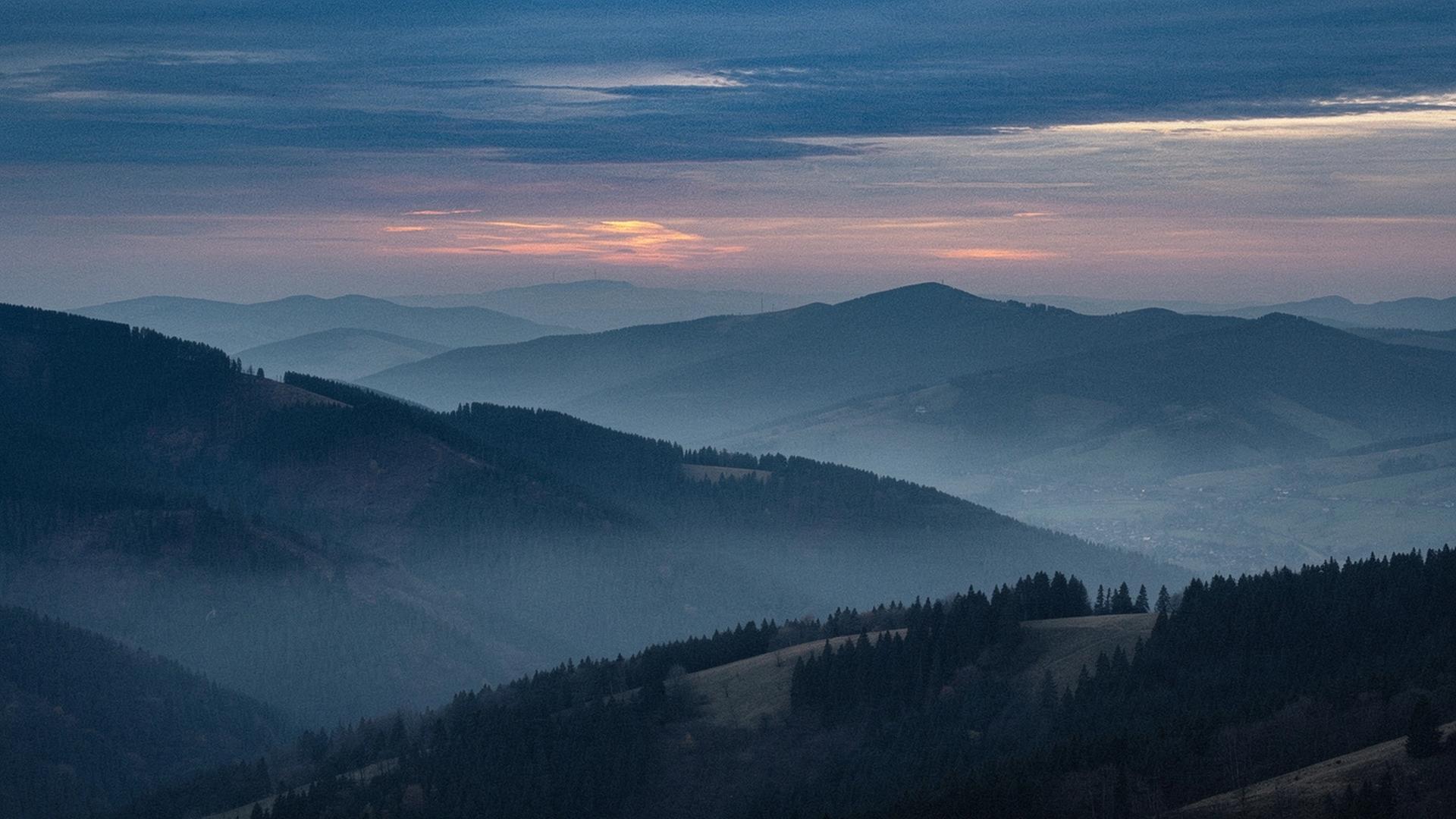 Carpathian mountain ridges at dusk with mist settling over a pine forest